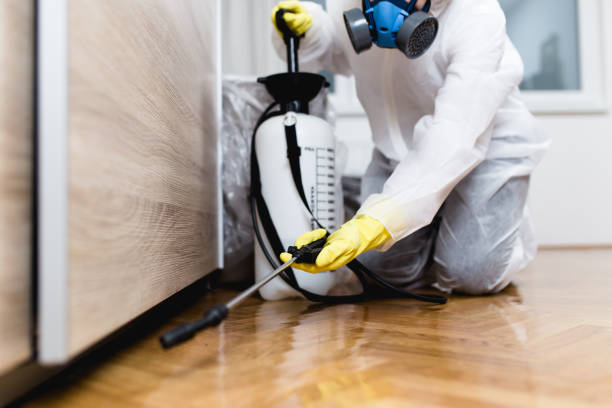 Best Pest Prevention Services  in Point Pleasant Beach, NJ